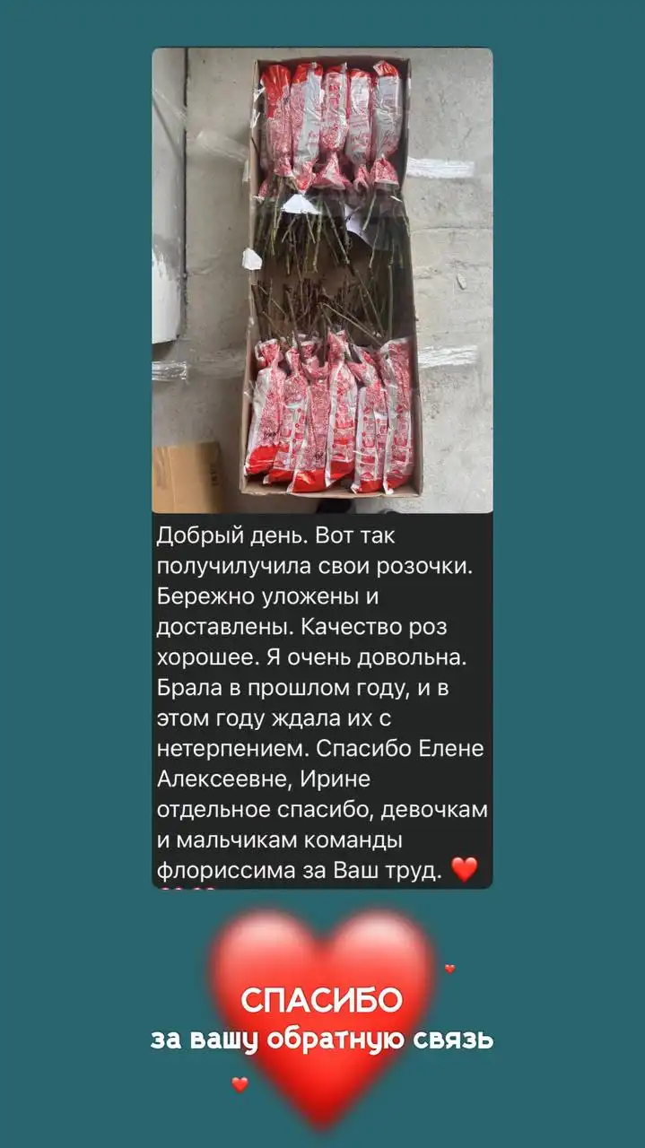 Розы и комнатные растения во Флориссима - Растения (Хобби и отдых) в Ростов-на-Дону