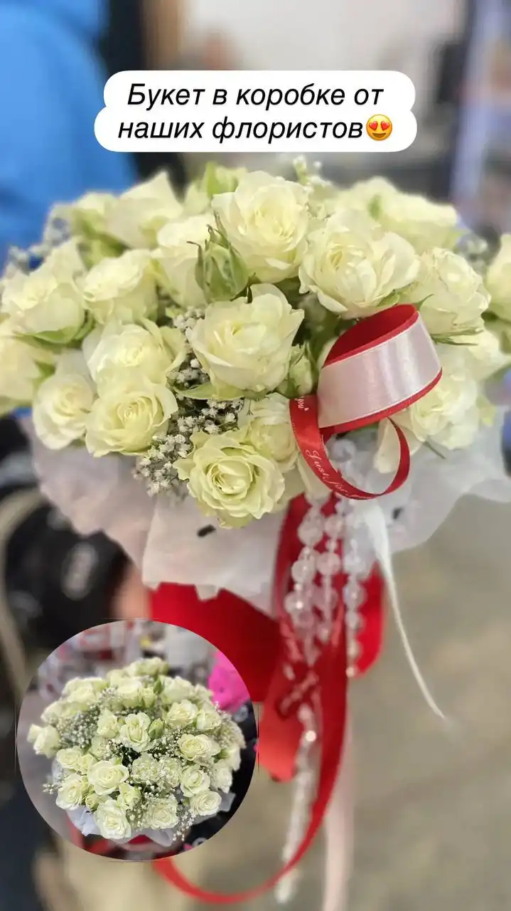 Платицериум Гранде в наличии - Комнатные растения (Хобби и отдых) в Ростов-на-Дону