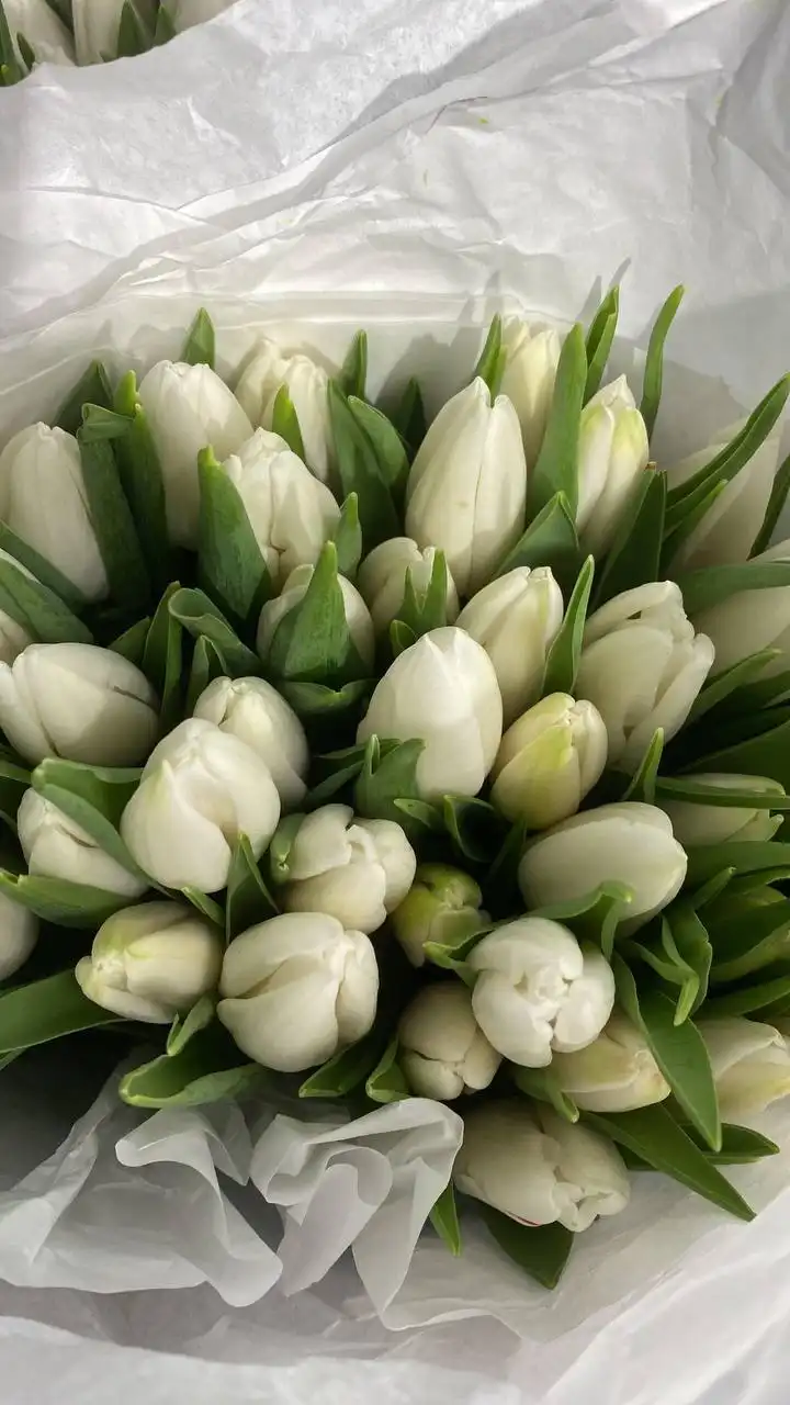 Букет роз Capuchino и тюльпаны от Флориссима - Тепловизионная техника в Ростов-на-Дону