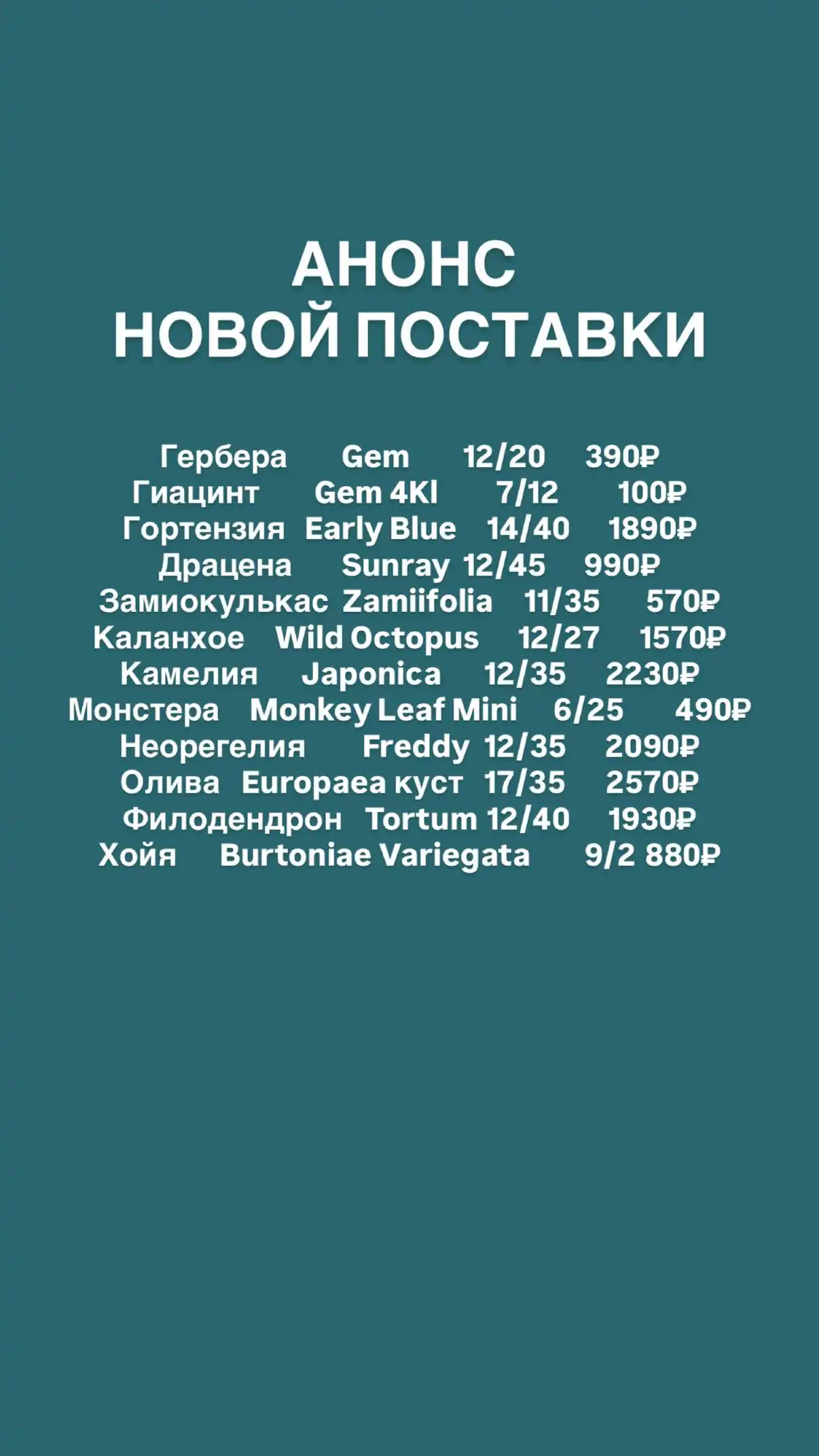 Поставка комнатных и уличных растений в Ростове-на-Дону - Растения (Хобби и отдых) в Ростов-на-Дону