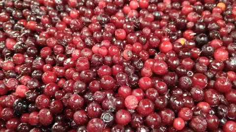 Продам замороженную бруснику в Антипихе - частное объявление в Антипиха