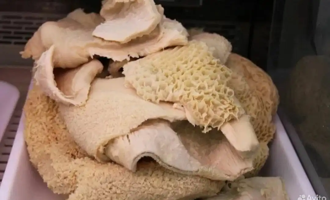 Рубец отварной - заготовка для кулинарных блюд