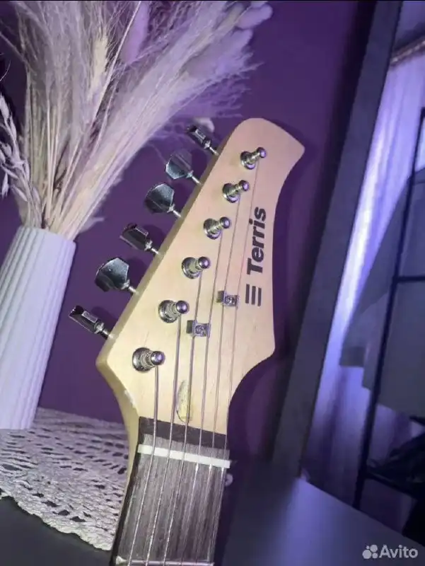 Продажа электрогитары Terris Stratocaster с комплектом