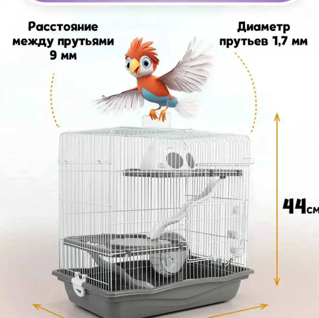 Продам клетку с крысой - Грызуны (Животные) в Чита