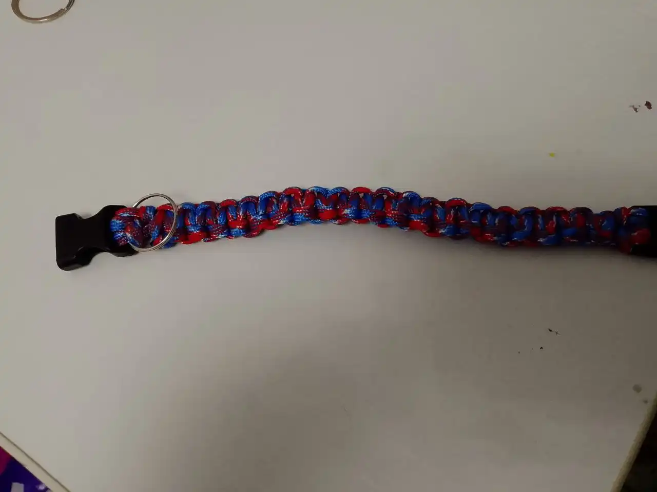 Ошейник из паракорда для мелких собак и кошек - Аксессуары для животных (Животные) в Чита