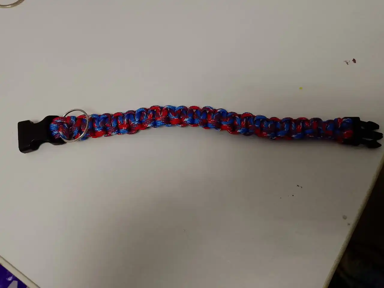 Ошейник из паракорда для мелких собак и кошек - Аксессуары для животных (Животные) в Чита