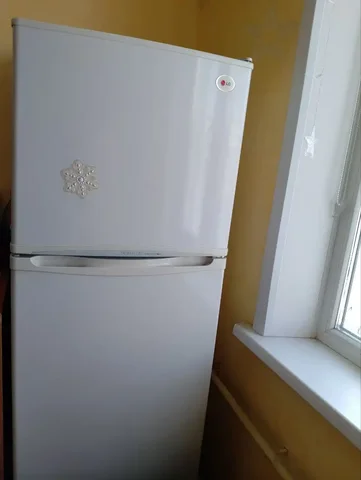 Продажа холодильника марки LD - Саженцы в Чита