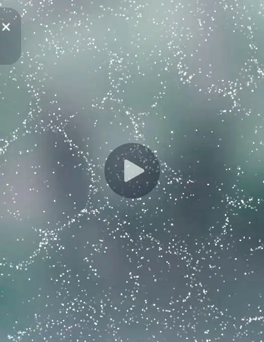 Шокирующая находка в лесу под Читой - Барахолка в Чита