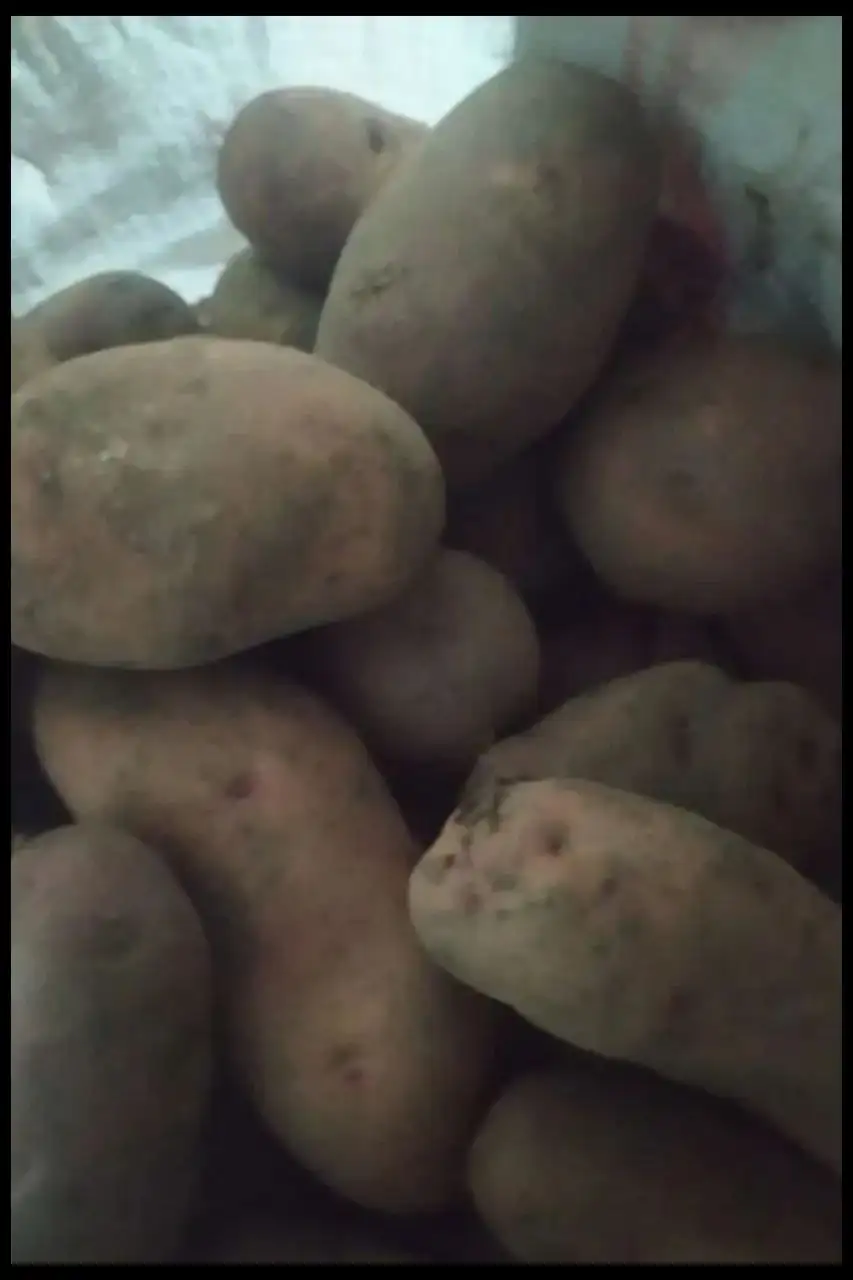 Продам домашний картофель - Продукты питания (Барахолка) в Чита