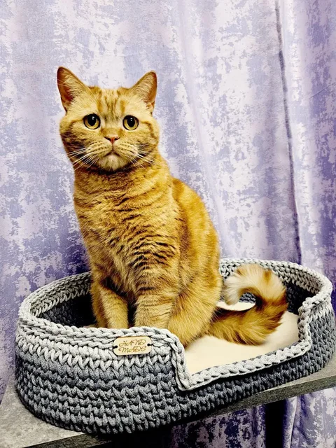 Лежанка для кота ручная работа - Металлопрокат в Чита
