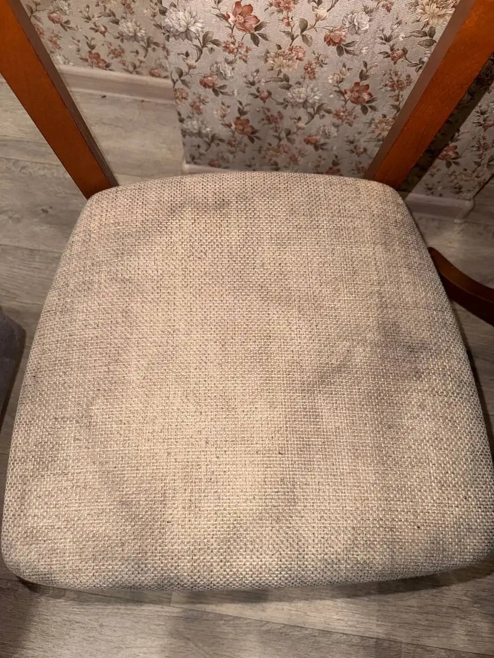 Аренда пылесоса для химчистки с выездом специалиста - Химчистка (Услуги) в Чита