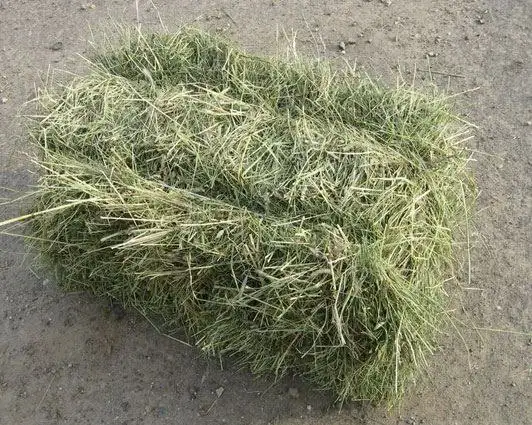 Покупка зеленого сена в мешках или тюках - Сельхозпродукция (Барахолка) в Чита