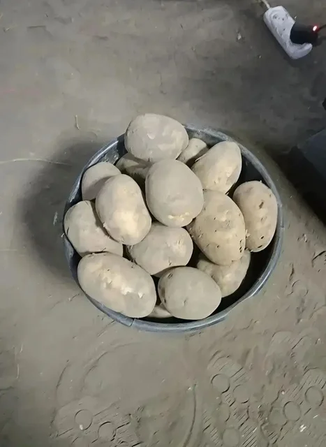 Продажа деревенского картофеля - Велосипеды в Чита