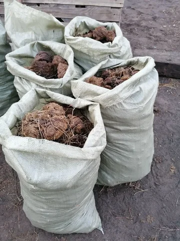 Продажа навоза КРС в мешках - Лодочные моторы в Чита