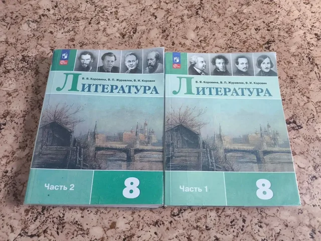 Учебник по литературе 8 класс Коровин - Снегоходы в Чита