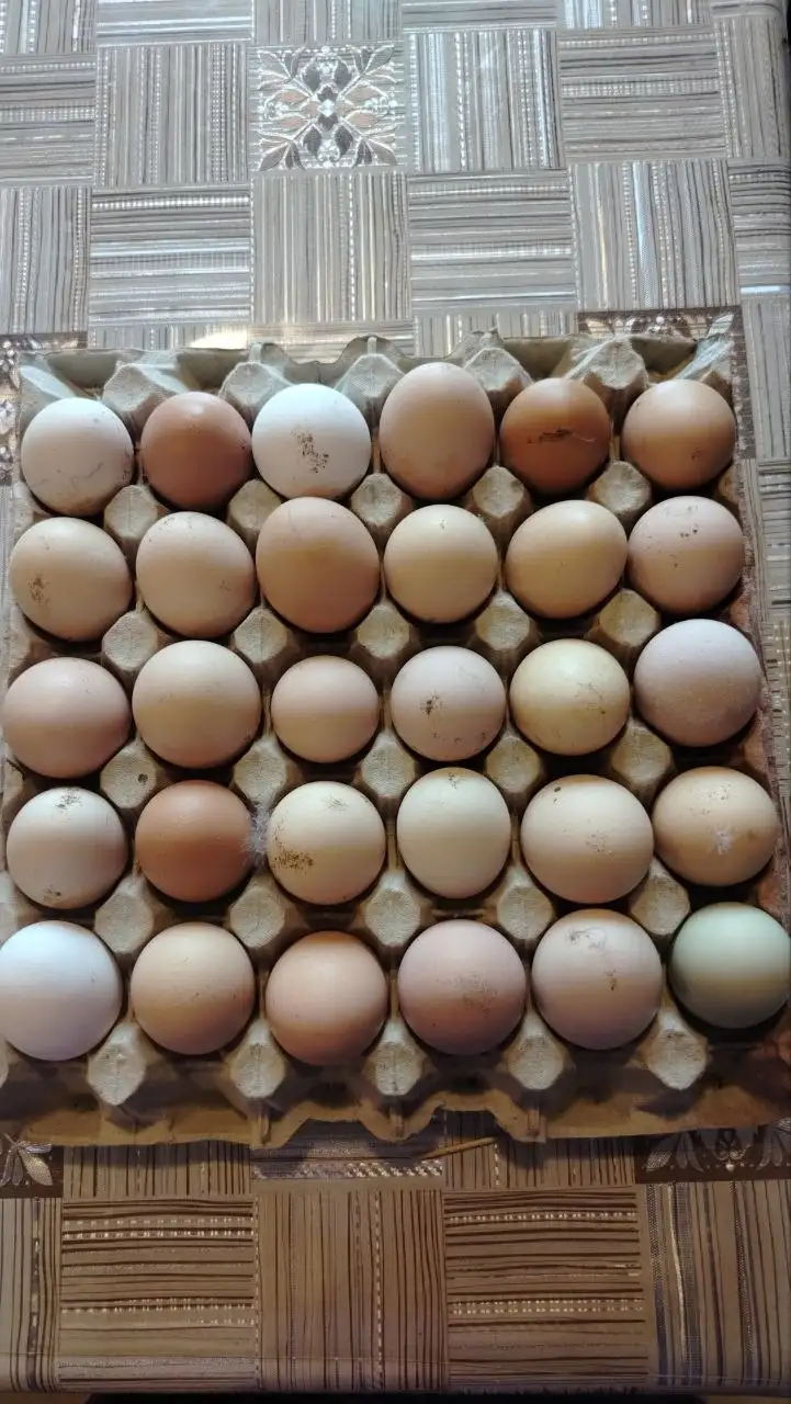 Продажа яиц от домашних кур - Продукты (Барахолка) в Чита