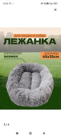 Отдам за тортик - Барахолка в Чита