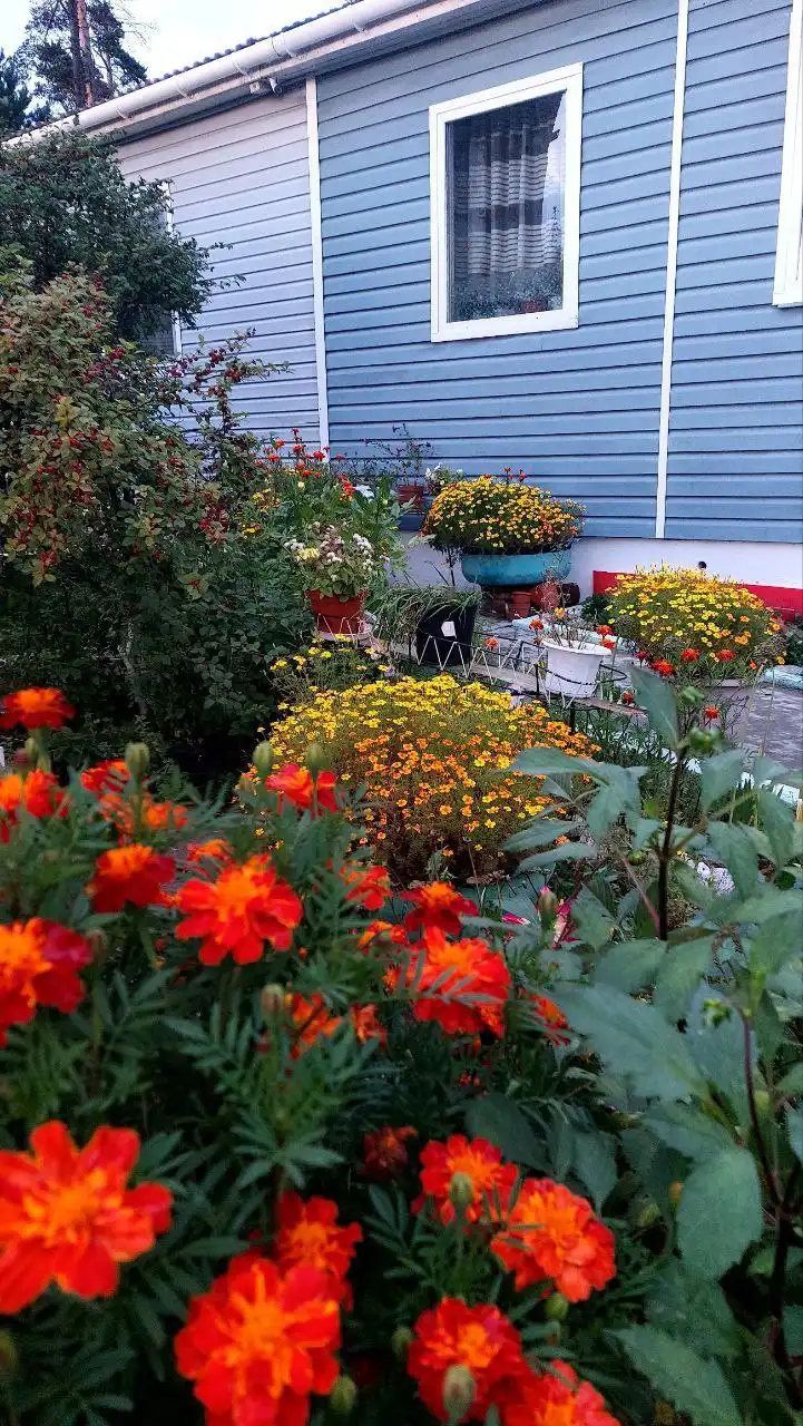 Продажа гостевого дома в Горячинске - Гостиничный бизнес (Готовый бизнес и оборудование) в Горячинск