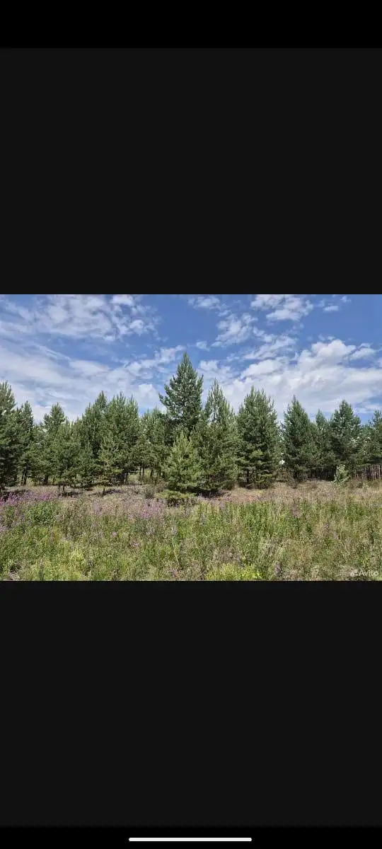 Продам участок СТ Дархан рядом со Зверсовхозом - Земельные участки (Недвижимость) в Улан-Удэ