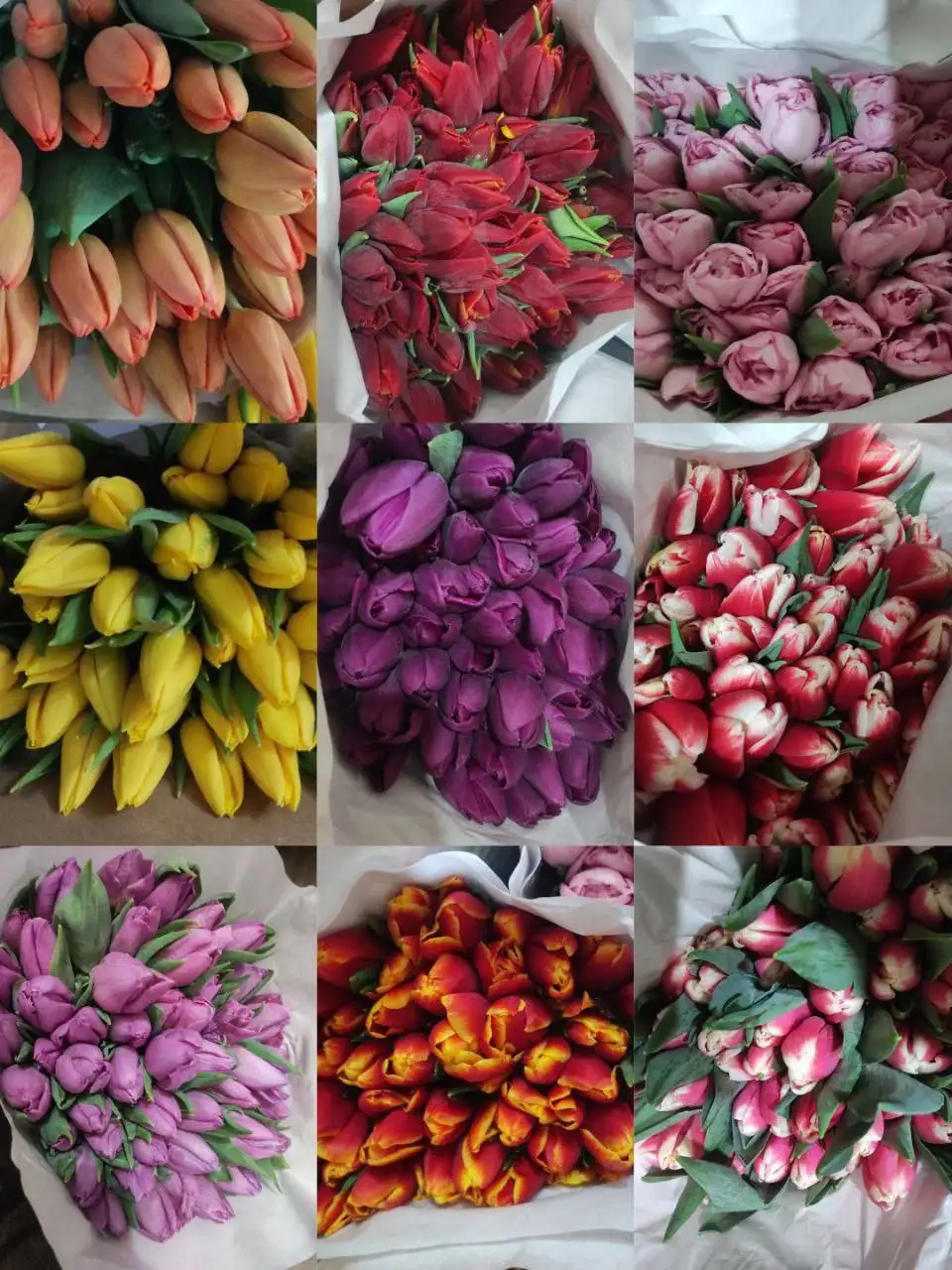 Доставка красивых тюльпанов к 8 марта - Доставка цветов (Услуги) в Улан-Удэ