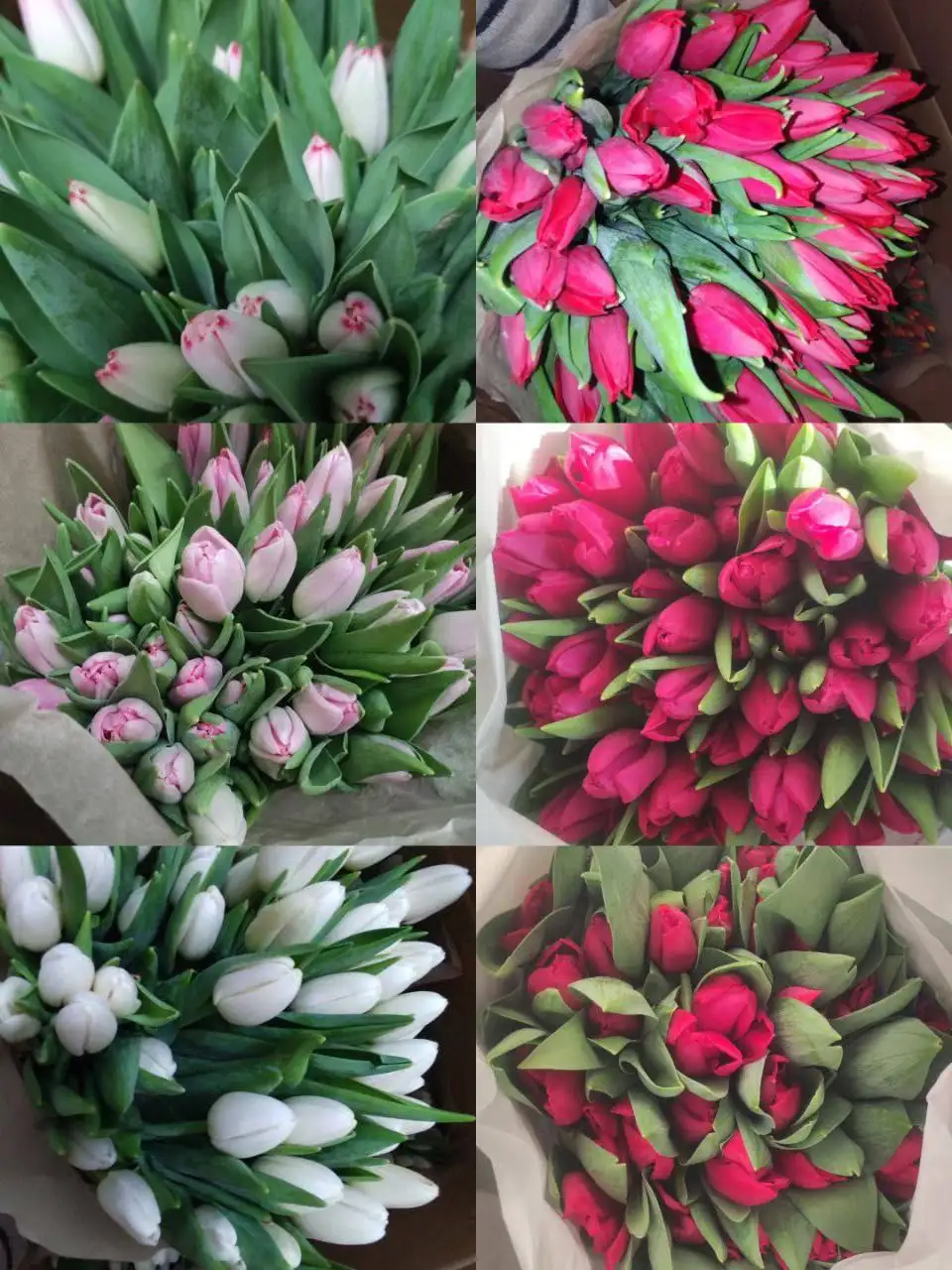 Доставка тюльпанов к 8 марта - Доставка цветов (Услуги) в Улан-Удэ
