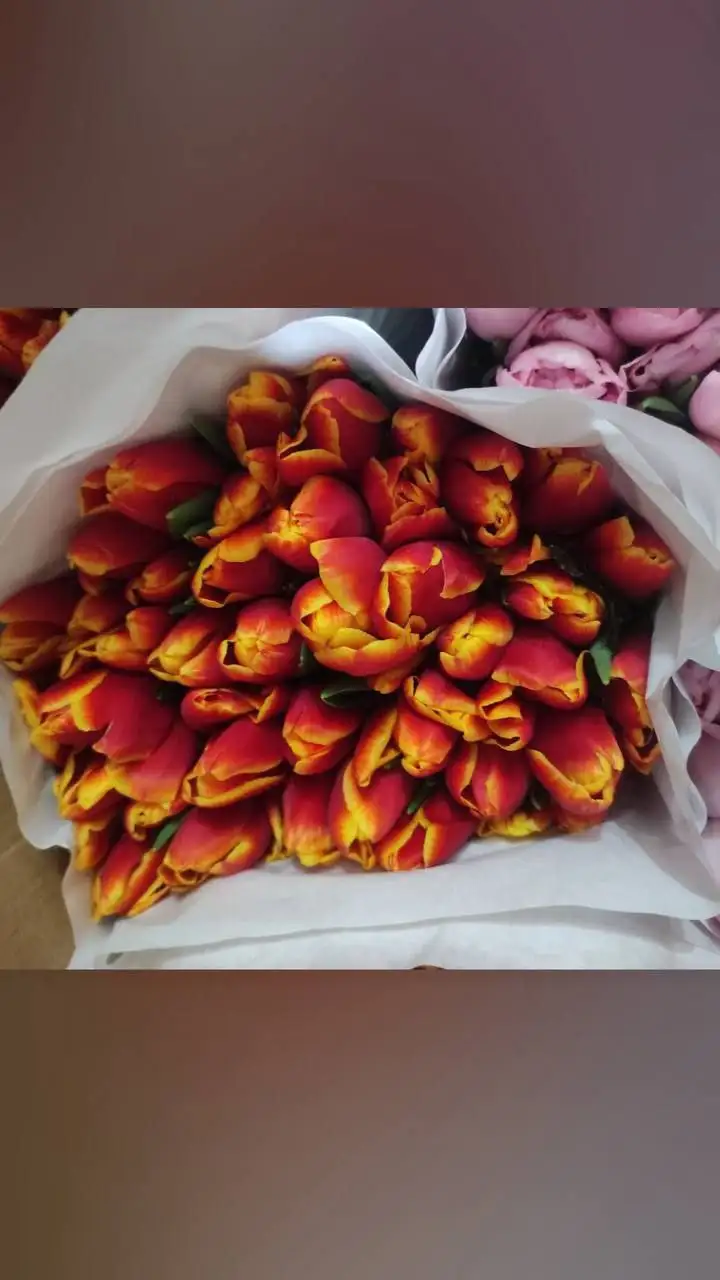 Доставка тюльпанов к 8 марта - Доставка цветов (Услуги) в Улан-Удэ