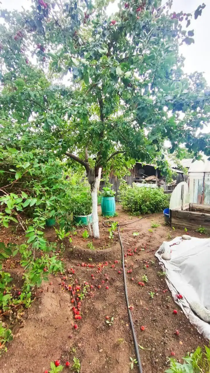 Продам квартиру 69,4 м² на участке 5 сот - Квартиры (Недвижимость) в Улан-Удэ