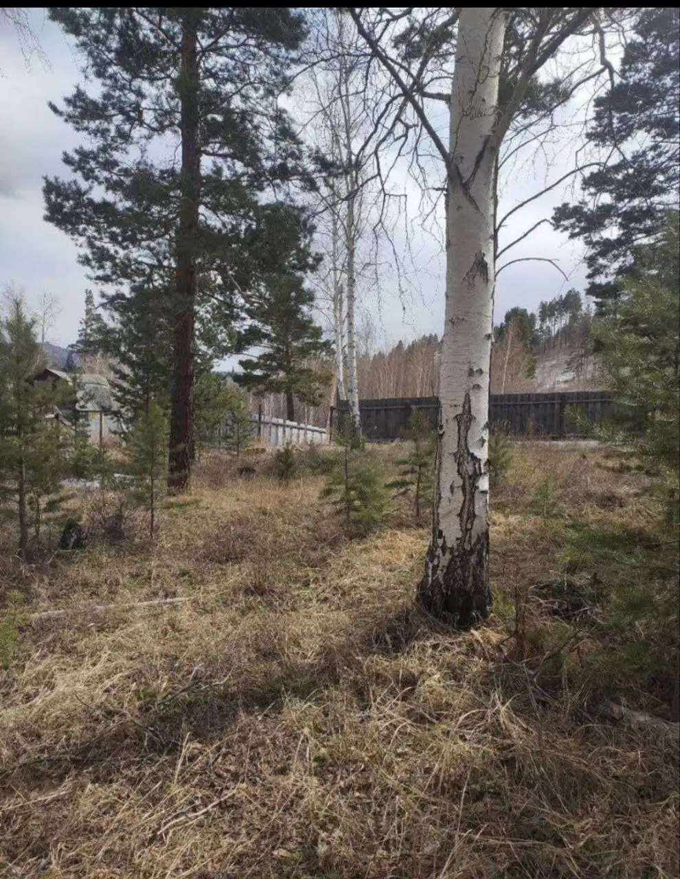 Продам участок 18 соток в СНТ Якорь - Земельные участки (Недвижимость) в Улан-Удэ