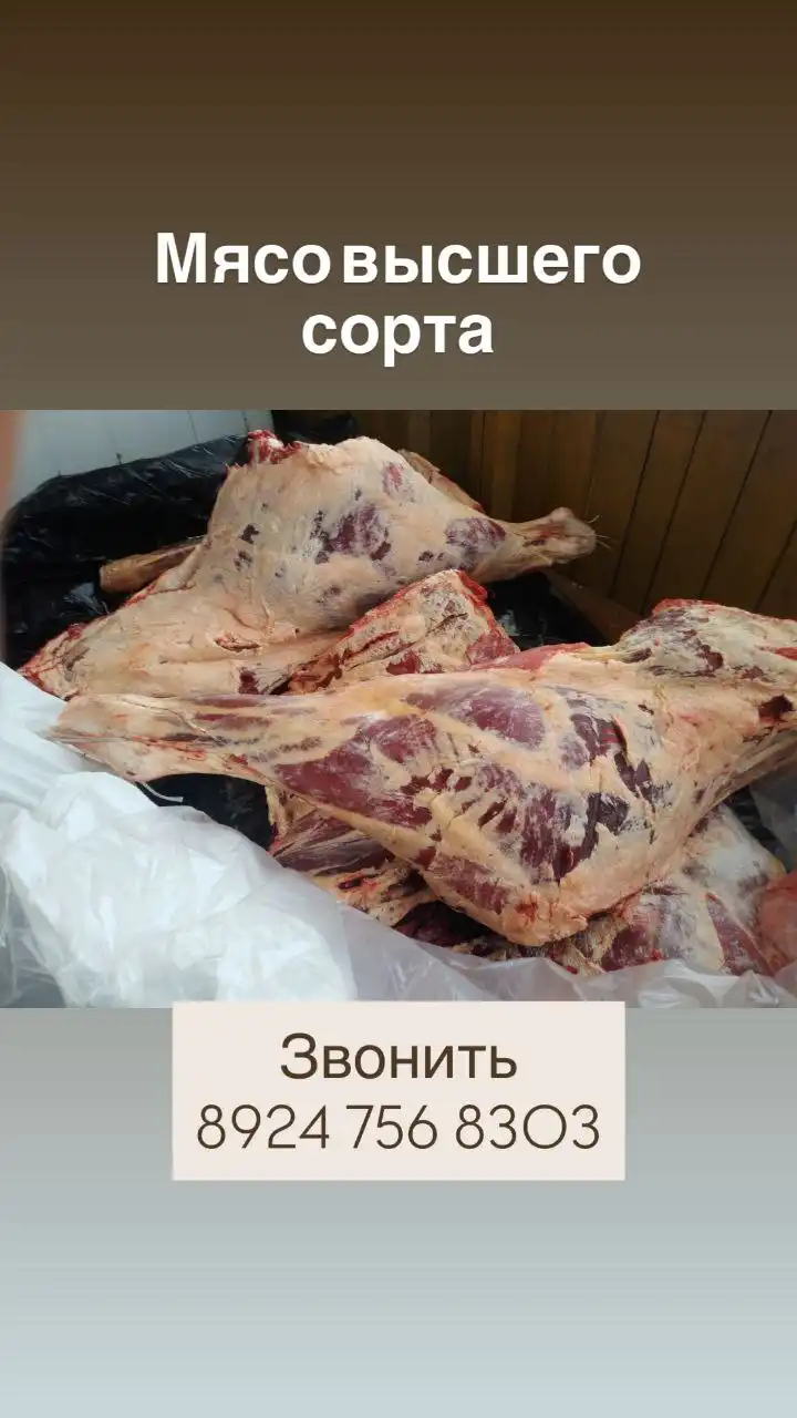 Свежее мясо говядины с личного подворья
