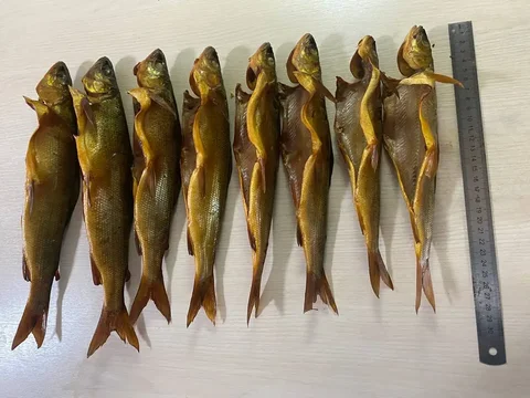 Хариус холодного копчения - частное объявление в Улан-Удэ