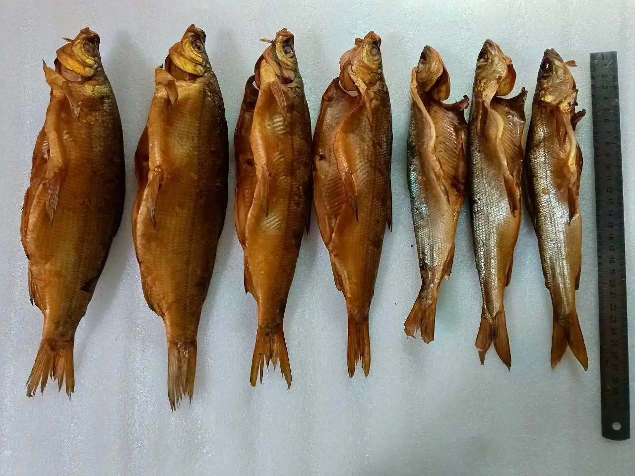 Пелядь и хариус холодного копчения к Новому году