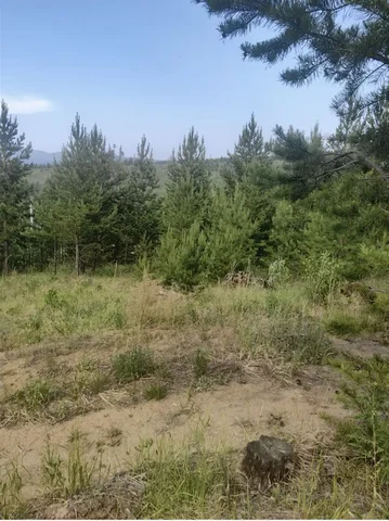 Продажа участка в ДНТ Красная поляна, Верхняя Берёзовка - частное объявление в Улан-Удэ