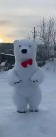 Поздравление белого медведя