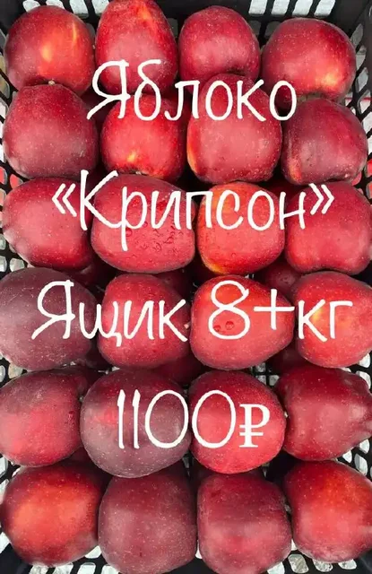 Свежие фрукты из Киргизии - Хобби и отдых в Красноярск