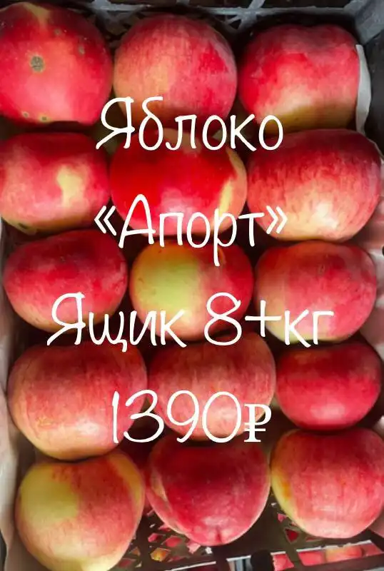 Свежие фрукты из Киргизии