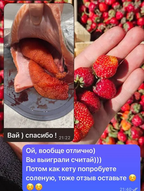 Форель Саяногорская - последняя поставка - Хобби и отдых в Красноярск