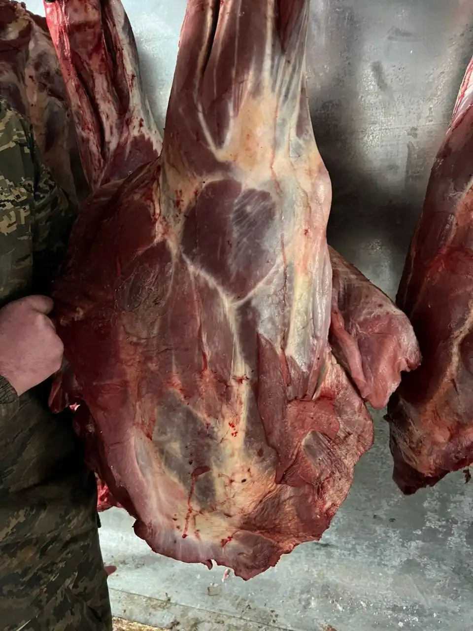 Продажа свежего мяса и туш в Красноярске