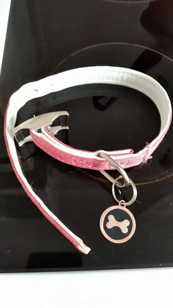 Найдена собака в автобусе у Ивановского рынка