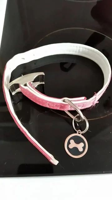 Найдена собака в автобусе у Ивановского рынка - Животные в Красноярск