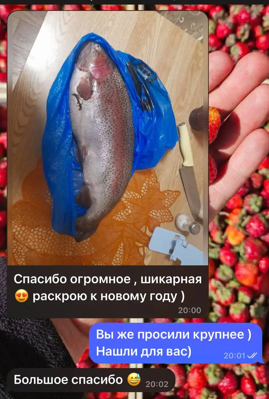 Свежая саяногорская форель с доставкой