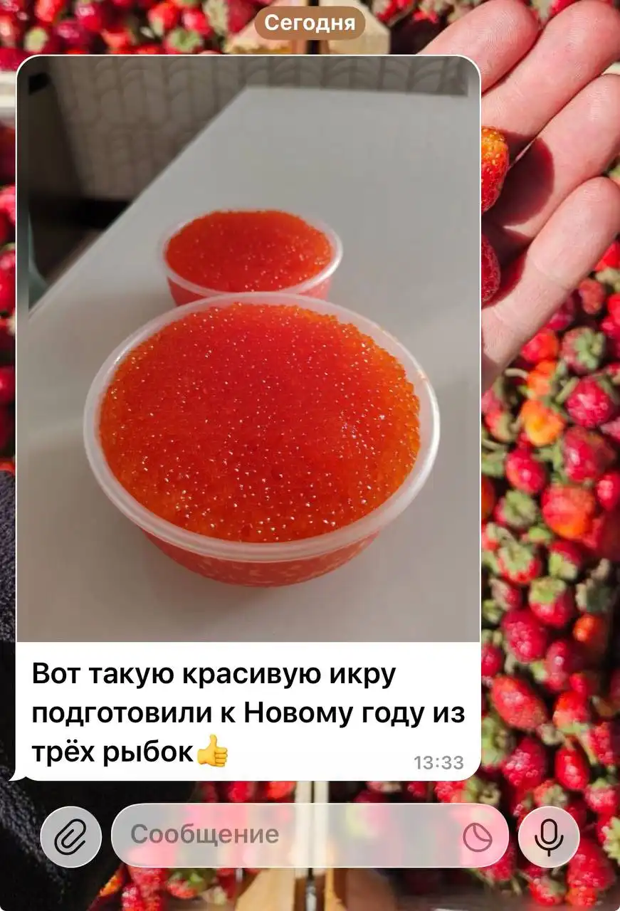 Свежая саяногорская форель с доставкой