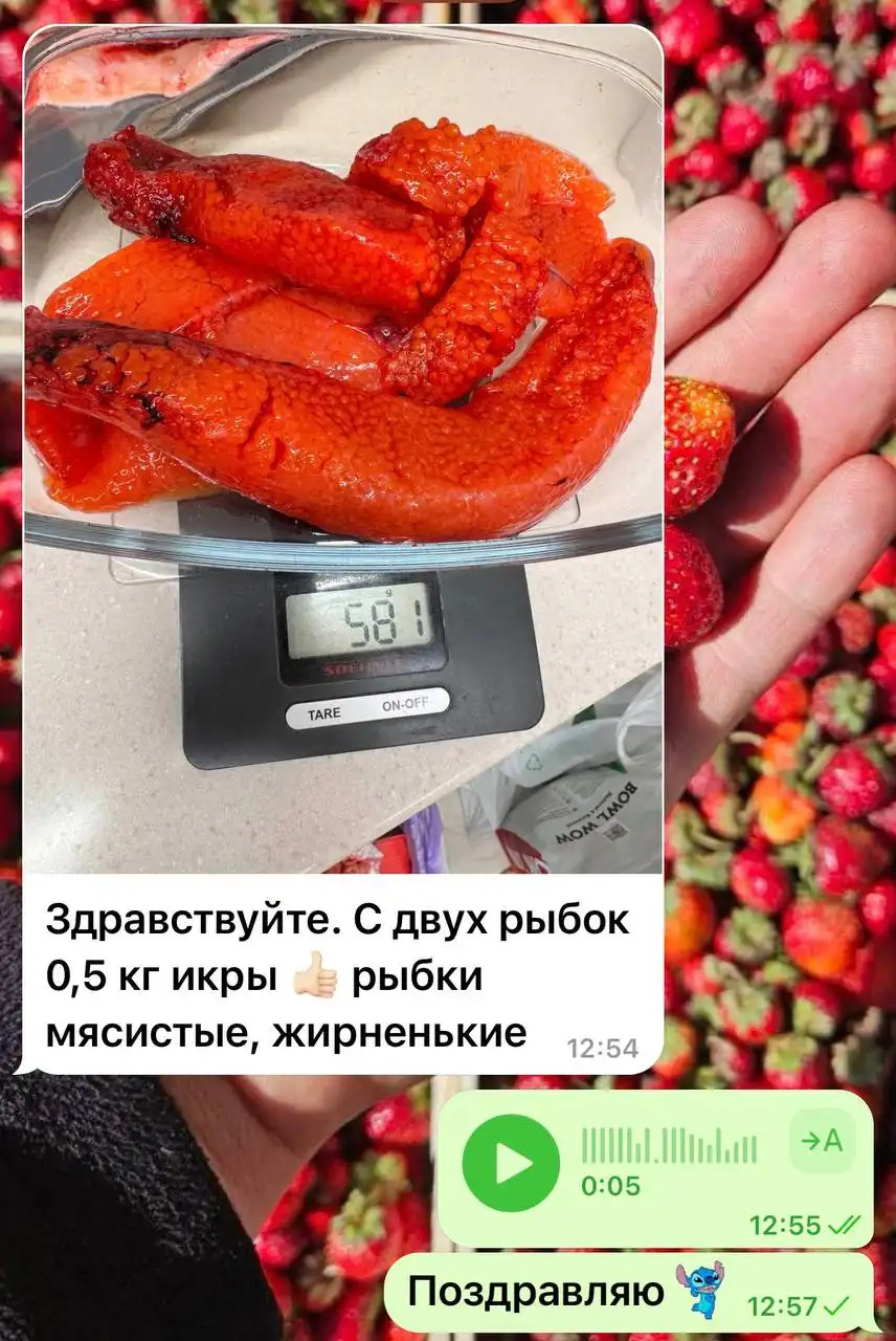 Свежая саяногорская форель с доставкой