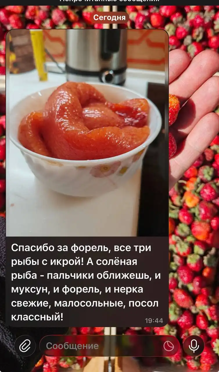 Свежая саяногорская форель с доставкой