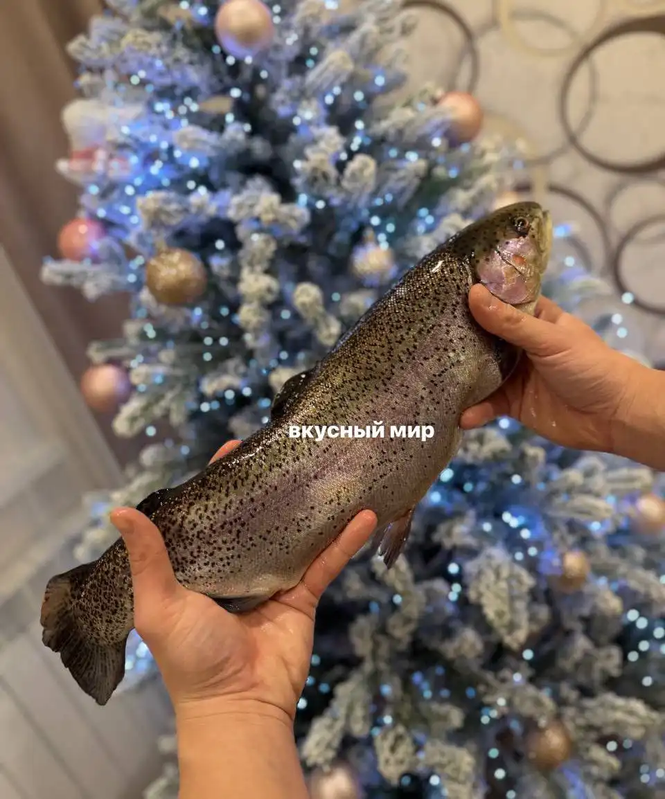 Поставка свежей саяногорской форели с бесплатной доставкой