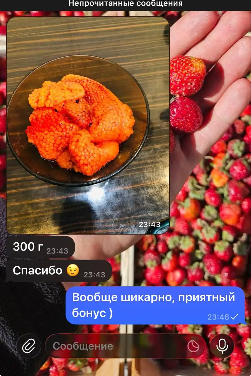 Свежая саяногорская форель с доставкой - Барахолка в Красноярск