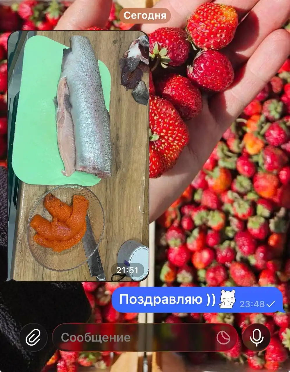 Свежая саяногорская форель с доставкой - Барахолка в Красноярск