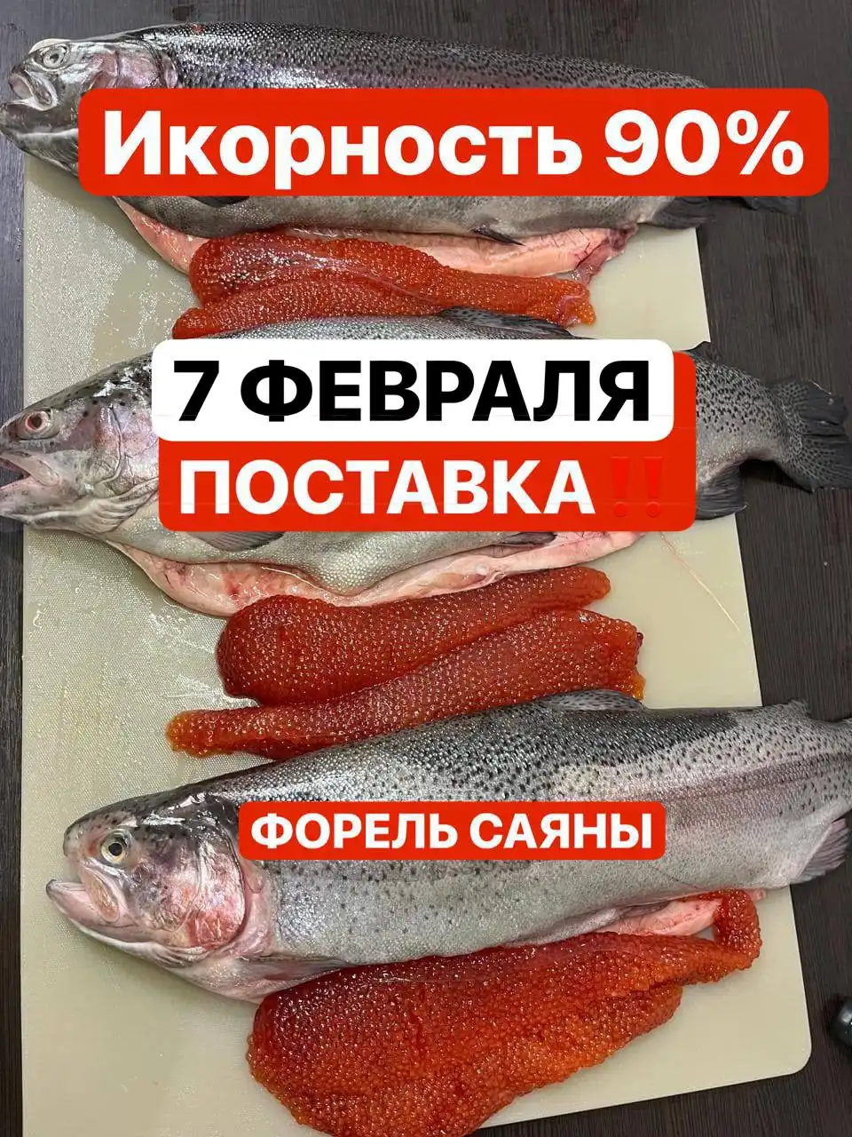 Сбор заявок на свежую саяногорскую форель с бесплатной доставкой - Хобби и отдых в Красноярск