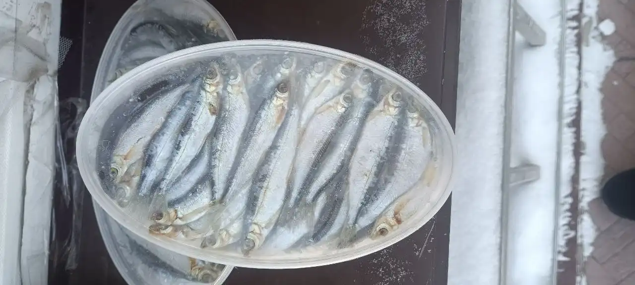 Продажа свежевыловленного тугунка, сибирской рыбы семейства лососёвых - Продукты питания (Барахолка) в Красноярск