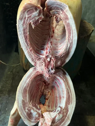 Продажа свежей деревенской свинины с доставкой - Продукты питания в Красноярск