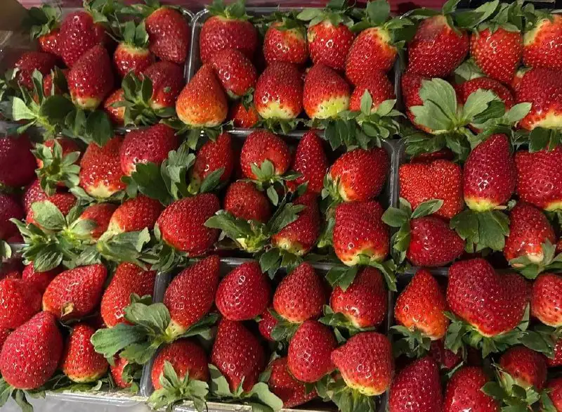 Свежая клубника из Греции в Красноярске - Продукты питания (Барахолка) в Красноярск